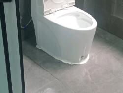 衛(wèi)生間有異味，有什么去除小技巧呢？